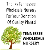 Family-run Tennessee Wholesale Nursery specializes in wetland shrubs, trees, woody perennials, native ferns, live mosses, and native plants.